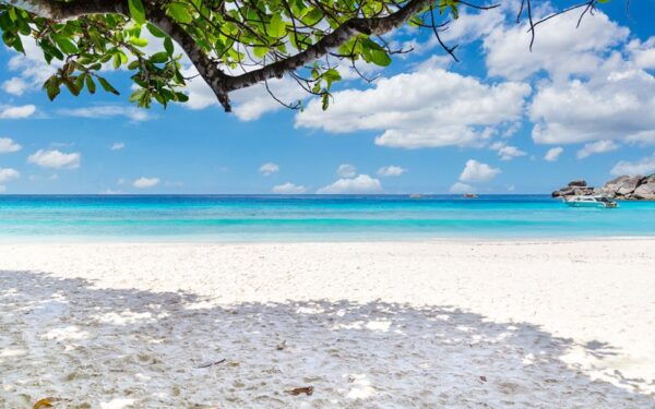 Phuket: Similan Day Trip by Speedboat - The Sum Up