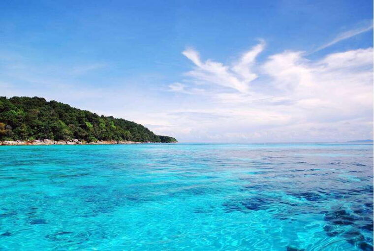 Phuket: Similan Island Day Trip by Speed Boat Catamaran - Customer Feedback
