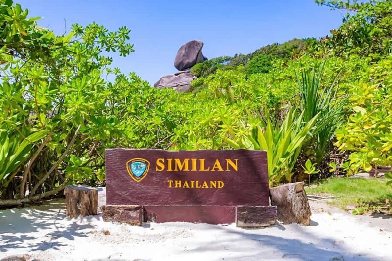 Phuket: Similan Islands Snorkeling Day Trip by Catamaran - Good To Know