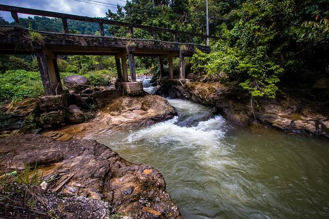 Phuket Small-Group Whitewater Rafting and ATV Tour - Tour Details