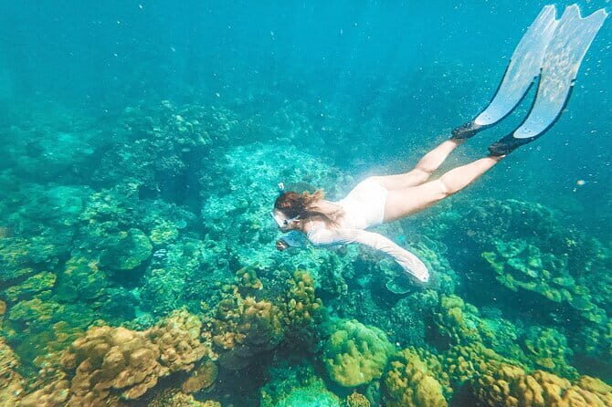 Phuket Speedboat Day Tour to Phi Phi & Maya Bay Highlights - Authentic Feedback and Experiences