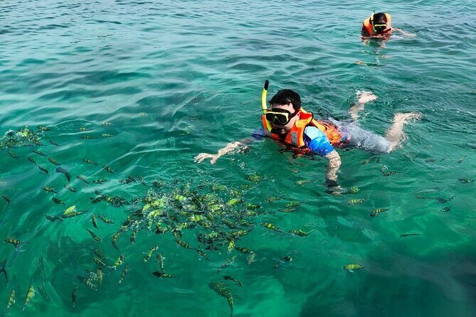 Phuket Speedboat Tour to Yao Noi & Hong Island - What Makes This Tour Stand Out