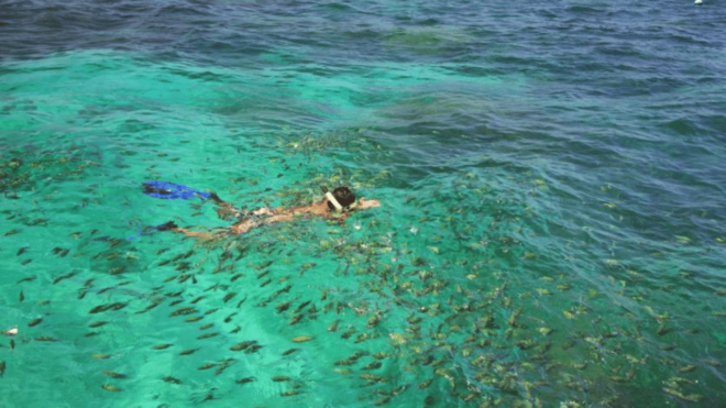 Phuket: Sunrise Cruise At Khai Islands - Inclusions and Amenities