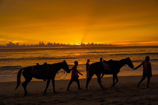 Phuket Sunset Horse Riding at Kamala Beach - Why You Should Consider This Tour