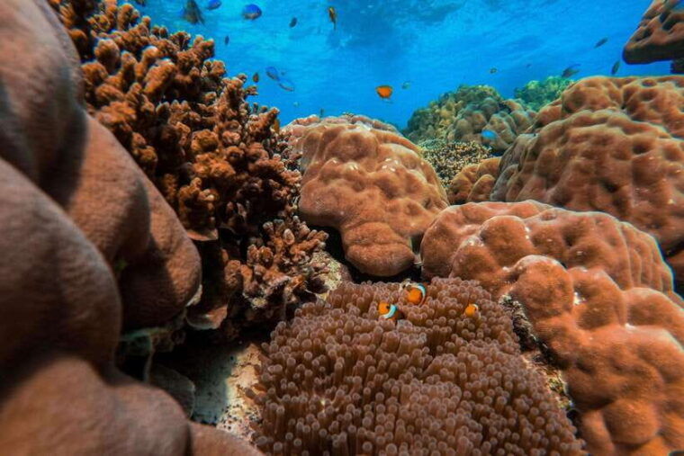 Phuket: Surin Islands Full Day Snorkeling Tour by Speedboat - What to Bring