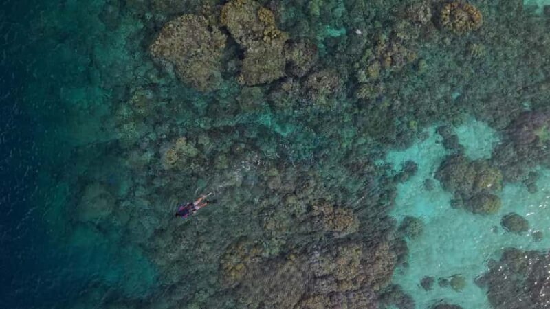 Phuket: Surin Islands & Moken Village By Premium Catamaran - Good To Know