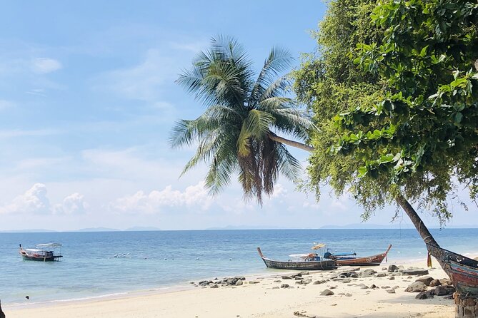 Phuket to Phi Phi Islands by Express Ferry Including Lunch - Positive Experiences