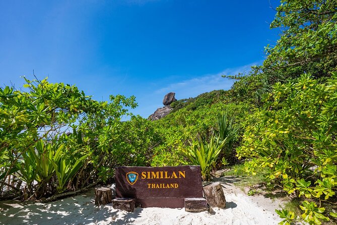 Phuket to Similan Islands Snorkeling Tour - Overview and Highlights