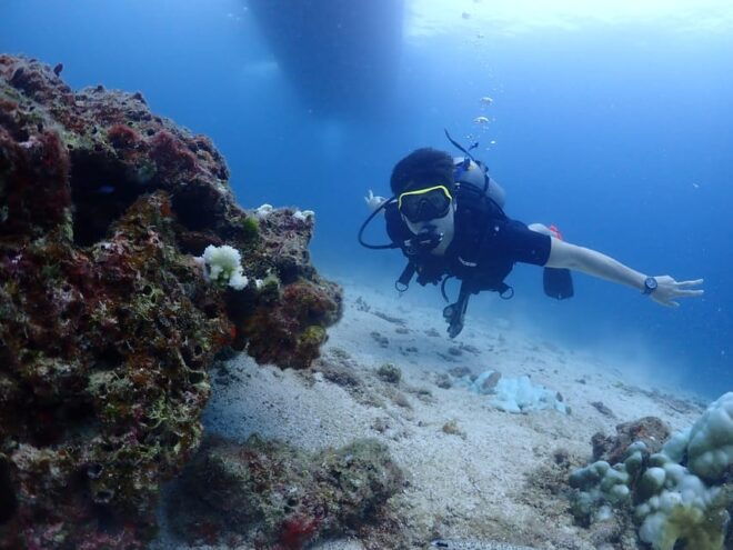 Phuket: Try SCUBA DIVING Full Day Experience 2 Dives - Safety Guidelines