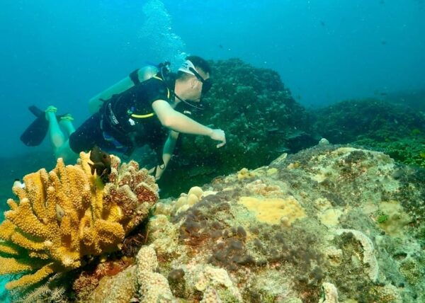 Phuket: Try SCUBA DIVING Full Day Experience 2 Dives - Customer Feedback