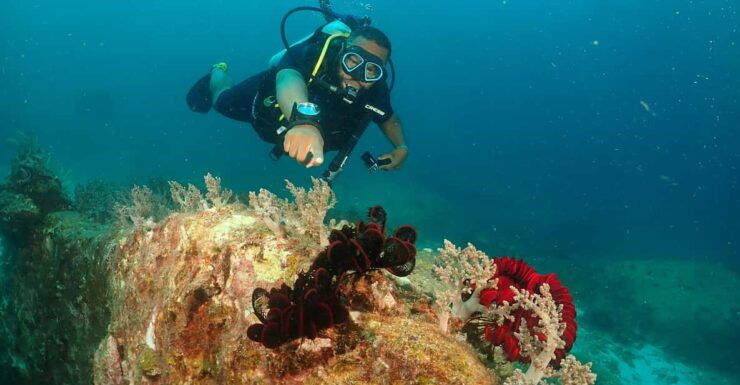 Phuket: Try SCUBA DIVING Full Day Experience 3 Dives - Key Points