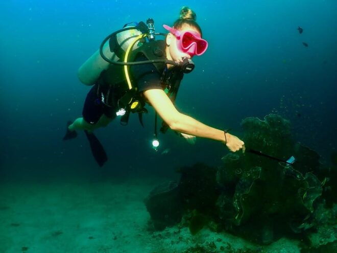 Phuket: Try SCUBA DIVING Full Day Experience 3 Dives - Inclusions and Exclusions