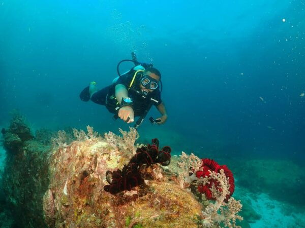 Phuket: Try SCUBA DIVING Full Day Experience 3 Dives - Questions You May Have