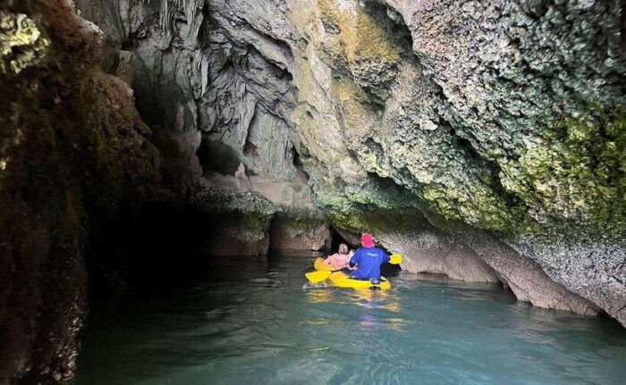 Phuket : Twilight Sea Canoe Tour With Glowing Plankton - Inclusions and Exclusions