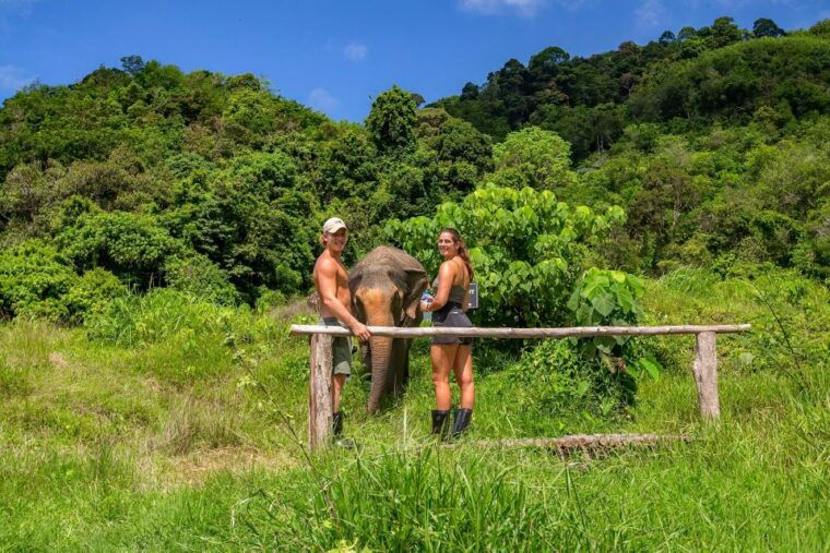Phuket: Walk and Feed Ethical Elephant Nature Park Tour - Customer Reviews and Ratings