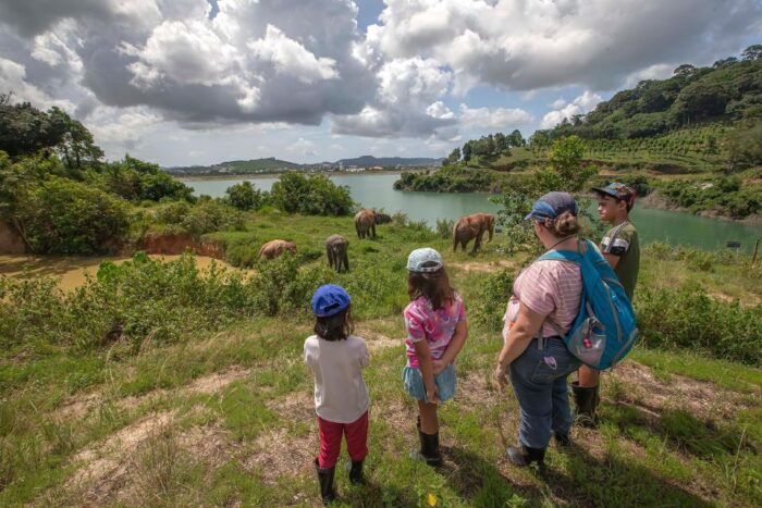 Phuket: Walk and Feed Ethical Elephant Nature Park Tour - Planning Your Visit