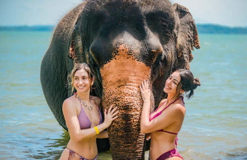 Phuket:Beach walk with elephants, rain & care. 2.5 hours - The Experience at Lily Elephant Camp Phuket