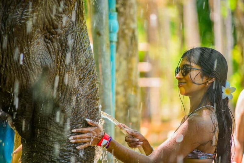 Phuket:Beach walk with elephants, rain & care. 2.5 hours - The Sum Up