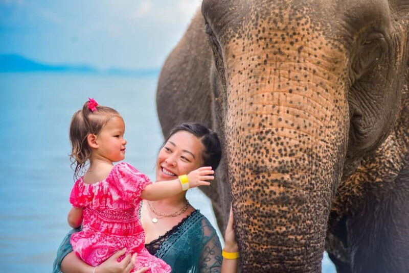 Phuket:Beach walk with elephants, rain & care. 2.5 hours - Good To Know  