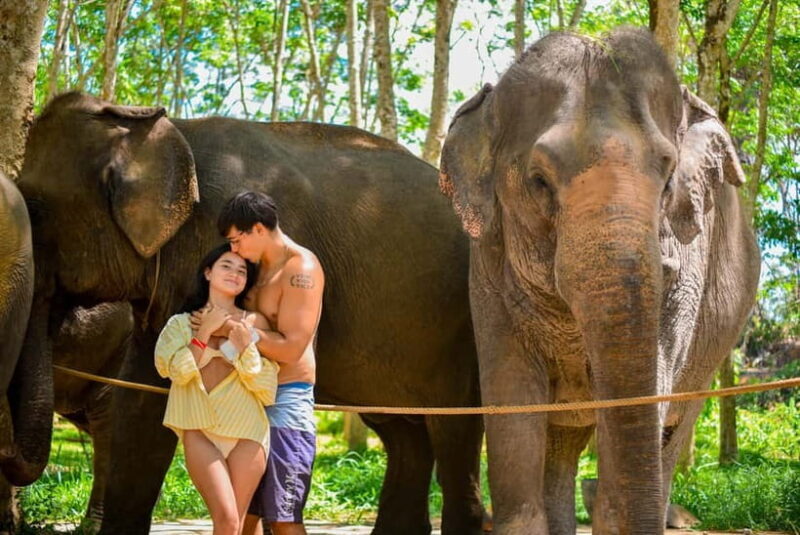 Phuket:Beach walk with elephants, rain & care. 2.5 hours - A Closer Look at the Itinerary