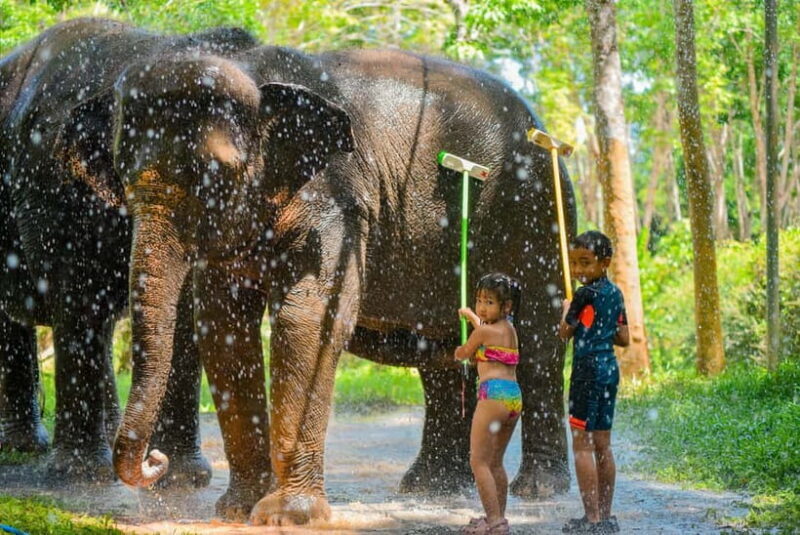 Phuket:Beach walk with elephants, rain & care. 2.5 hours - Who Will Love This Experience?