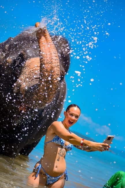 Phuket:Beach walk with elephants, rain & care. 2.5 hours - Final Thoughts