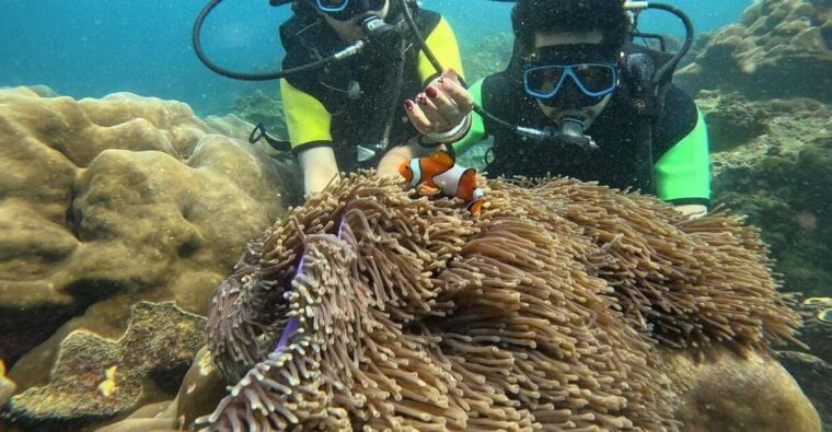 Phuket:Premium Khai Islands Tour Or Water Activities Options - Inclusions and Amenities