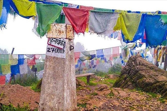 Phulchoki Bird-Watching Tour - Tour Duration: 7 Hours