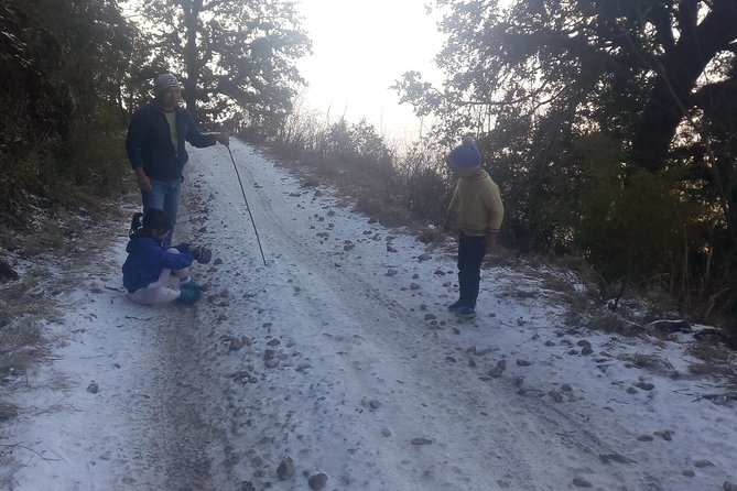 Phulchoki Bird-Watching Tour - Reviews and Ratings