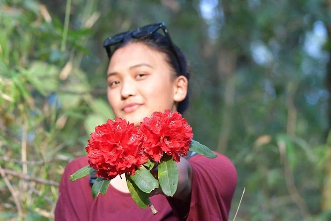 Phulchowki Day Hiking - Flora and Fauna Encounters on the Phulchowki Trail