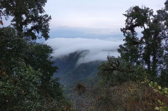 Phulchowki Hill Private Hike in Nepal - Kathmandu - Good To Know