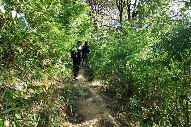 Phulchowki Hill Private Hike in Nepal - Kathmandu - Scenic Forest and Ridgeline Trail