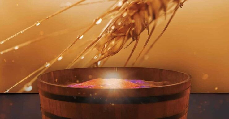 PIADINA EXPERIENCE Explore With Us the History of PIADINA - Booking and Cancellation Details