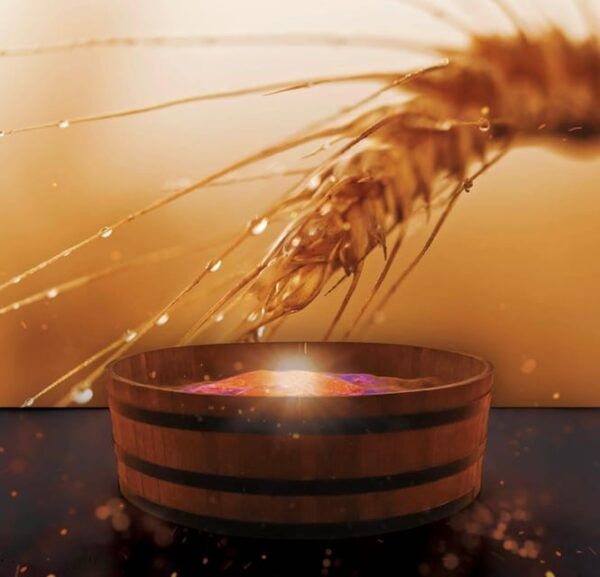 PIADINA EXPERIENCE Explore With Us the History of PIADINA - Activities Included in the Experience