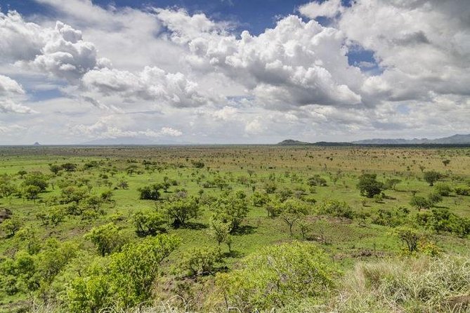Pian Upe Game Reserve - Good To Know