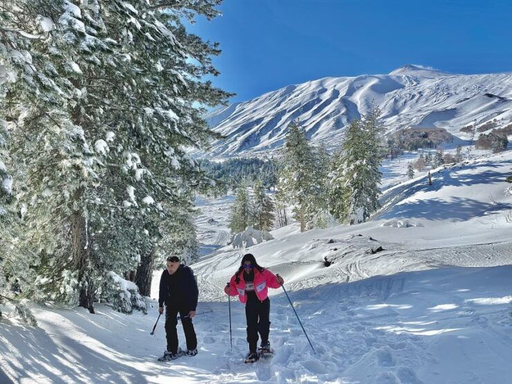 Piano Provenzana: Guided Mt. Etna Snowshoeing Trek - Activity Details