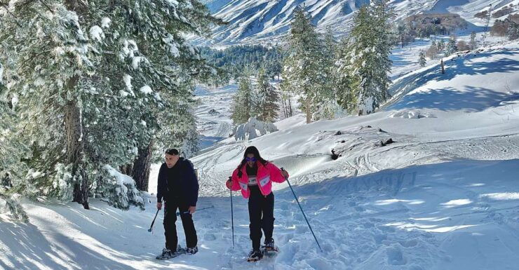 Piano Provenzana: Guided Mt. Etna Snowshoeing Trek - Booking Information