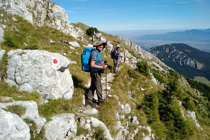 Piatra Craiului National Park Private Hiking Tour From Brasov - What To Expect