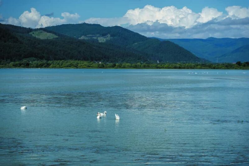 Piatra Neam: Guided tours of the Moldavian Pearl of Romania - Who Will Love This Tour?