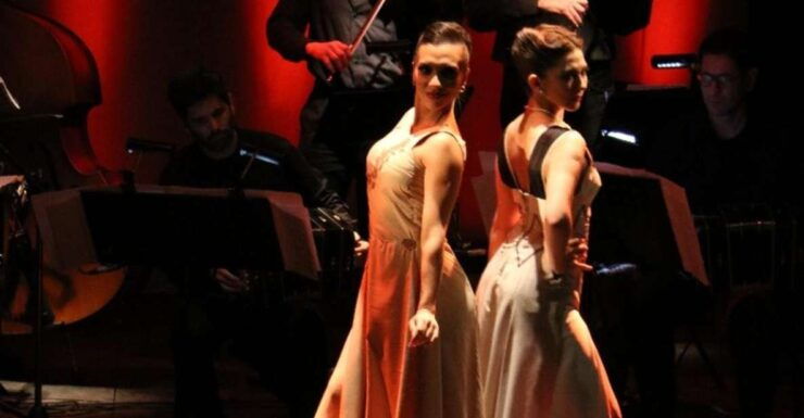 Piazzolla Tango Stalls: Gourmet Dinner Show Transfer - Good To Know