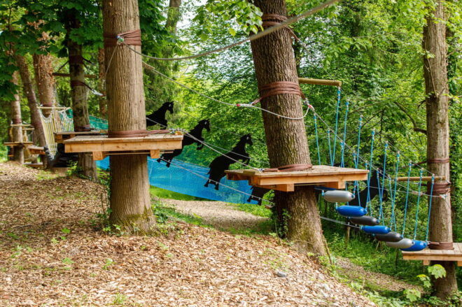 Piber: Climbing Park - Inclusions and Restrictions