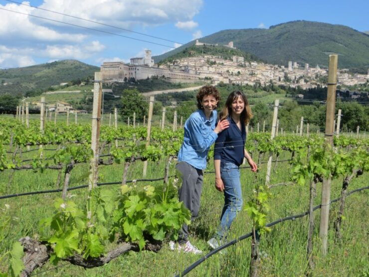 Pic Nic Deluxe Assisi and Wine Tasting 5 Wines - Experience Highlights