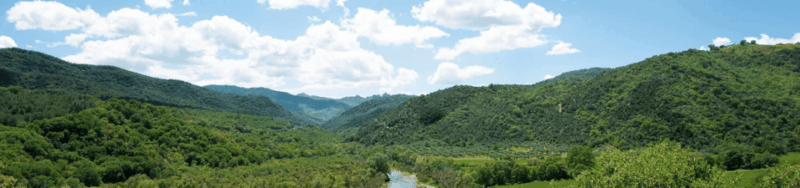 Pic Nic in centuries-old olive grove in Matera - A Closer Look at the Olive Grove Picnic Tour