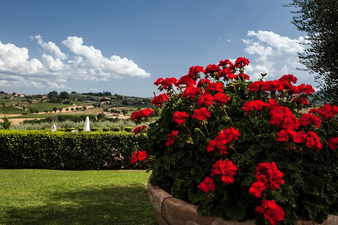 Pic Nic in the Charming Tuscan Olive Grove - Booking Information