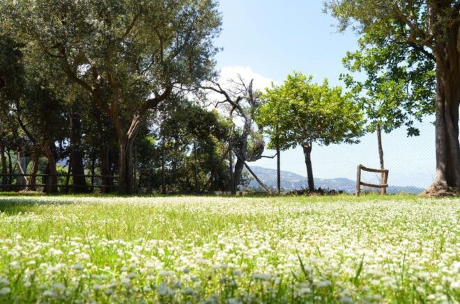 Pic-Nic Sea View: Sorrento Coast - Customer Reviews