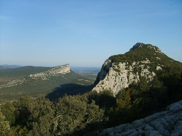 Pic St Loup Wine Tasting and Winery Lunch From Montpellier  - Cancel 24H Prior & Full Refund - Cancellation Policy