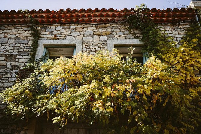 Pic St Loup Wine Tasting and Winery Lunch From Montpellier  - Cancel 24H Prior & Full Refund - Overall Experience and Additional Information
