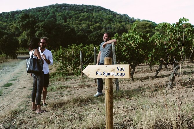 Pic St Loup Wine Tasting and Winery Lunch From Montpellier  - Cancel 24H Prior & Full Refund - Reviews From Viator and Tripadvisor Travelers