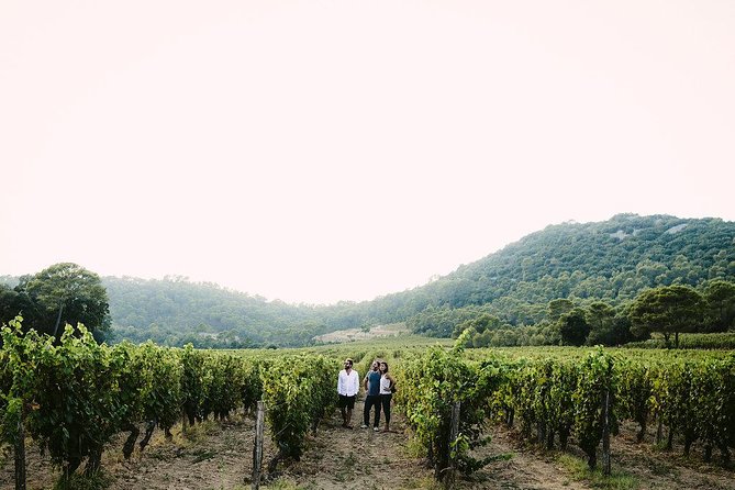 Pic St Loup Wine Tasting and Winery Lunch From Montpellier  - Cancel 24H Prior & Full Refund - Positive Feedback on the Tour Guides Knowledge and Enthusiasm