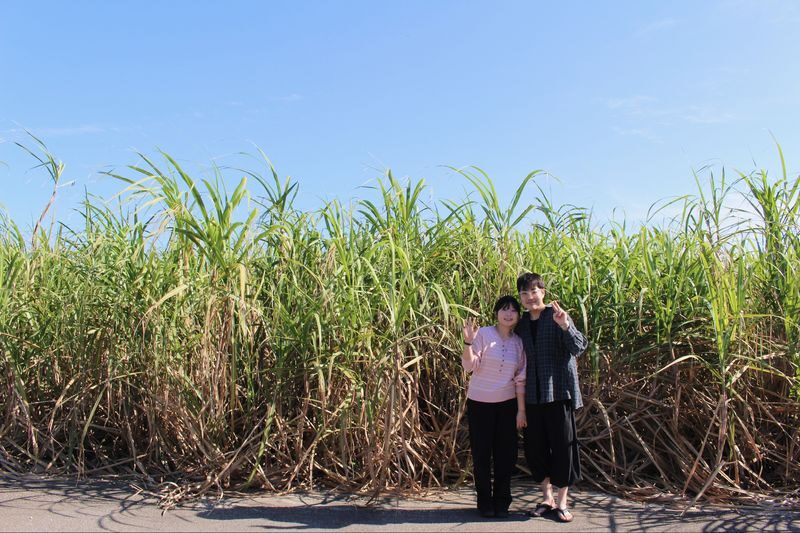 Pick-up available | Island tour & photo tour | 2.5 hours - A short pause at Toguchi-no-hama